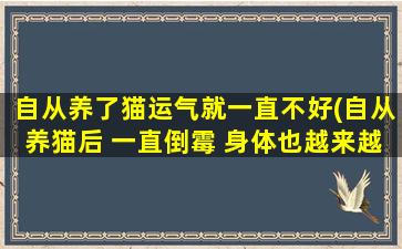 自从养了猫运气就一直不好(自从养猫后 一直倒霉 身体也越来越差 是不是要把猫送走)